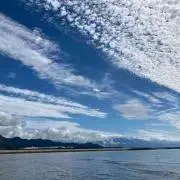 Tokiwararuの画像