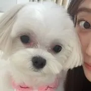 アジアの〜papillon〜の画像