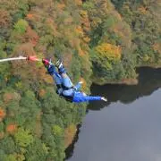 ビスケの画像