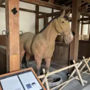 MRの画像