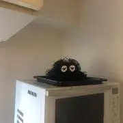 IKDの画像