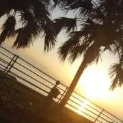 ＊coco＊☆プロフお読み下さい☆
