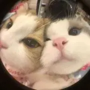 ちゃむ✩ 彡 ⋆꙳の画像