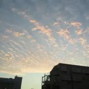 orangeの画像