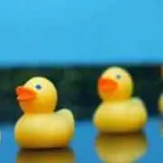 のっち☆