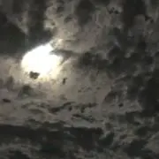 トムの画像