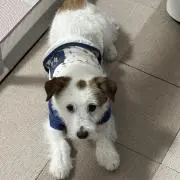 ただくにの画像