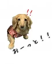タラ子の画像