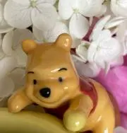 プーの画像