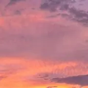 なるの画像