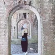 大豆の画像