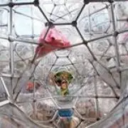 はなな(・∀・)の画像