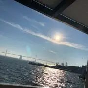 Kの画像