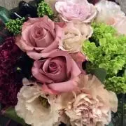 Jullyの画像