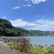 Wりーちゃんの画像