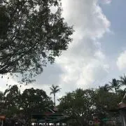 RMTの画像