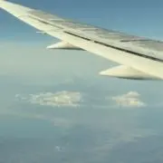りーの画像