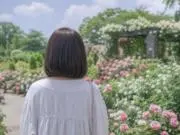 ナガノの画像