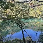 オレンジの画像