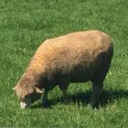 ユウスケ