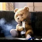 TED