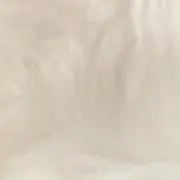 BEの画像
