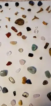 きなこの画像
