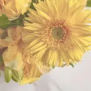 ma .の画像