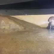 マスターソンの画像