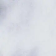yの画像