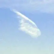 はねぐもの画像