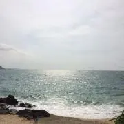 No.16の画像