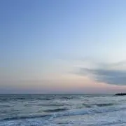 seiの画像