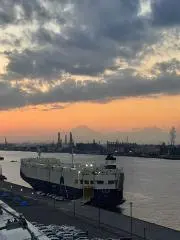 YOU-3の画像