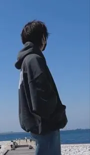 わんわの画像