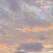 MDZの画像