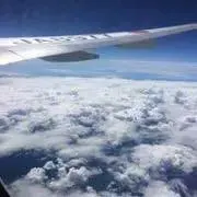 tento27の画像