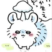 ま(断捨離中)の画像