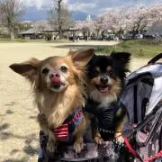 けいちゃん