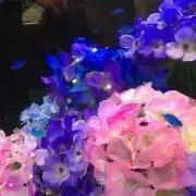 すずなり☆