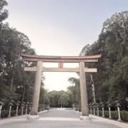 ゆゆゆゆの画像