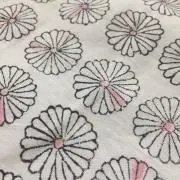 kuu
