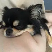 ひちょみ