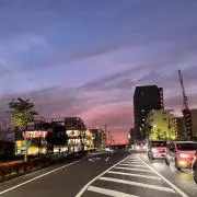 Tako
