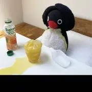 pinguの画像