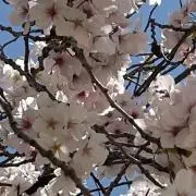 あ〜ママ❤︎