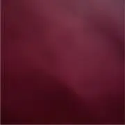 パピーの画像