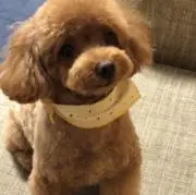 あd