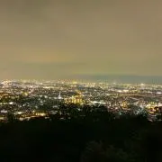 白狐