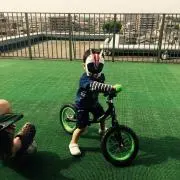 しましまの画像